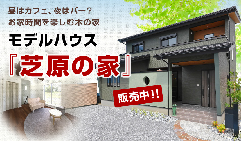 堀伊木材モデルハウス芝原の家販売中